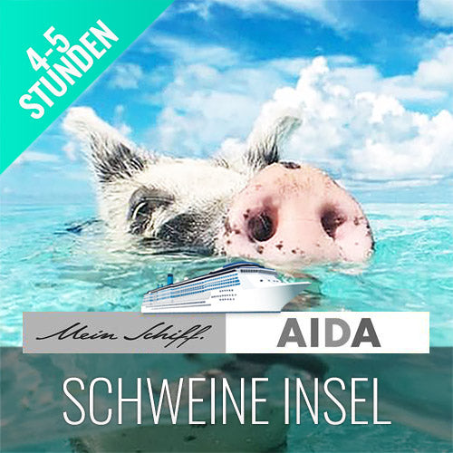 Pig Island Schweine Insel Koh Samui Ausflüge Kreuzfahrt