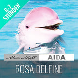 Halbtages Ausflug Sehenswürdigkeit Rosa Delfine für Kreuzfahrer