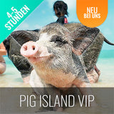 PIG ISLAND SNORKELING KOH MUDSUM & KOH TAN SPEED BOAT VIP TOUR - kohsamui.tours