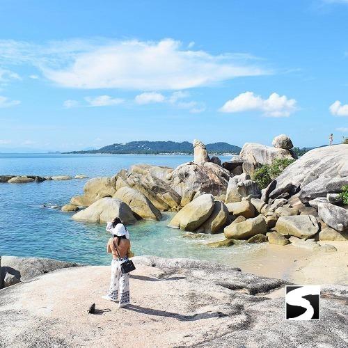 Ausflüge - Ganztags Inseltour mit Dschungel Safari - kohsamuiausflug.de