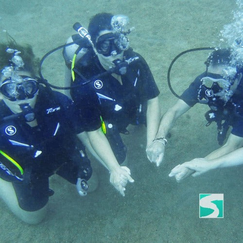 Aktivität - Aktivität Schnuppertauchen im offenen Meer bei Koh Tao - kohsamuiausflug.de