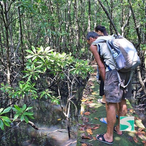 Kreuzfahrt - Ausflug verborgene Inseln - Koh Samui Landgang - kohsamuiausflug.de