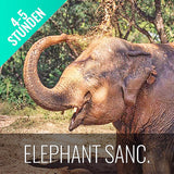 Sehenswürdigkeit Elephant Sanctuary Koh Samui
