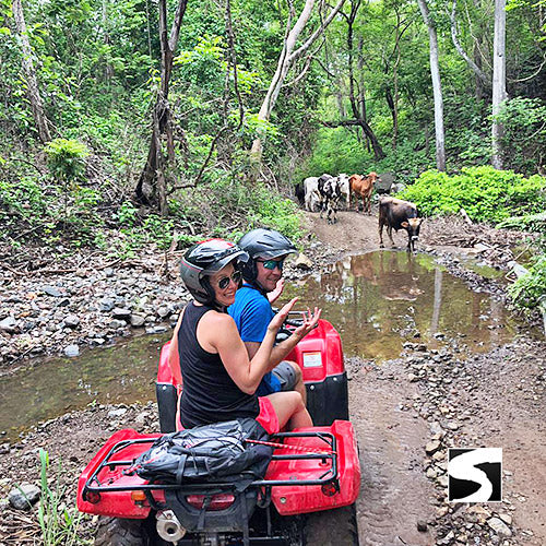 Aktivität - Beliebte Aktivität Quad Abenteuer 2 Stunden - kohsamuiausflug.de