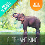 Tierheim Elefant Kingdom 400 m Skywalk