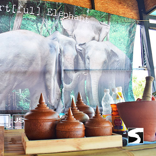 Koh Samui Elefanten Auffangstation Halbtages Aktivität - kohsamuiausflug.de