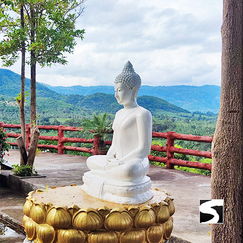 Zodiac Park, Elefanten Klinik, Wasserfall & der beste Aussichtspunkt - kohsamuiausflug.de