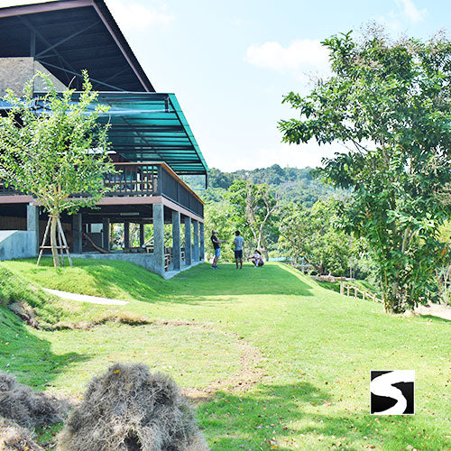 Koh Samui Elefanten Auffangstation Halbtages Aktivität - kohsamuiausflug.de