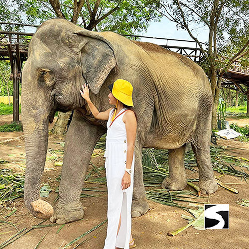 Elephant Kingdom Koh Samui - kohsamui.tours