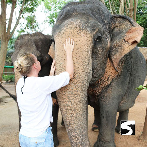 Elefantenschutz Halbtages Aktivität Koh Samui - kohsamuiausflug.de
