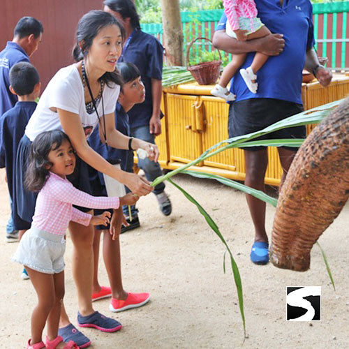 Elefanten Klinik Aktivität Koh Samui helfen beim Füttern