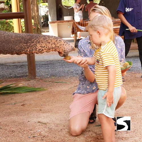 Elefanten Klinik Aktivität Koh Samui helfen beim Füttern