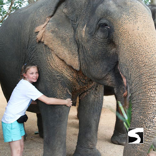 Elefantenschutz Halbtages Aktivität Koh Samui - kohsamuiausflug.de