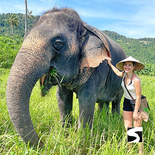 Zodiac Park, Elefanten Klinik, Wasserfall & der beste Aussichtspunkt - kohsamuiausflug.de