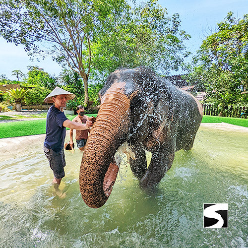 Zodiac Park, Elefanten Klinik, Wasserfall & der beste Aussichtspunkt - kohsamuiausflug.de