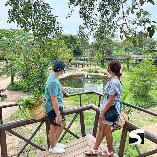 Elephant Kingdom Koh Samui - kohsamui.tours