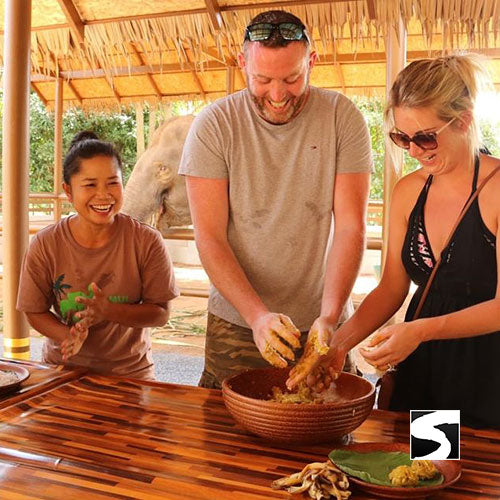 Elefanten Füttern Koh Samui - Landgang Kreuzfahrer - kohsamuiausflug.de