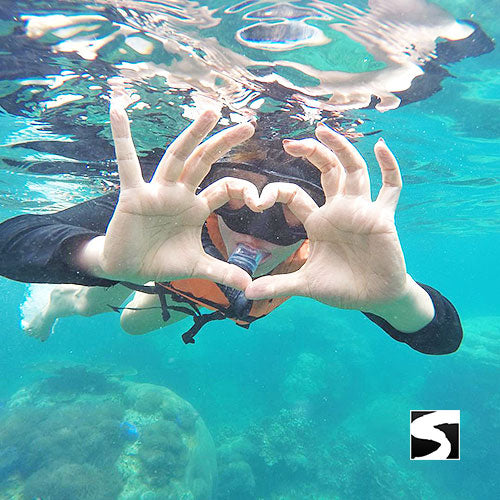 Koh Nang Yuan & Koh Tao Tagesausflug Schnorcheln - kohsamuiausflug.de