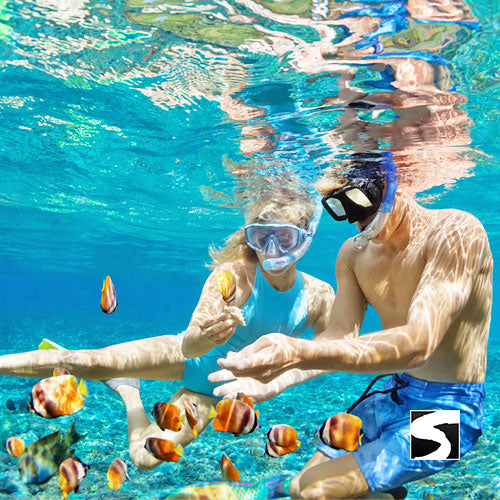 Koh Nang Yuan & Koh Tao Tagesausflug Schnorcheln - kohsamuiausflug.de