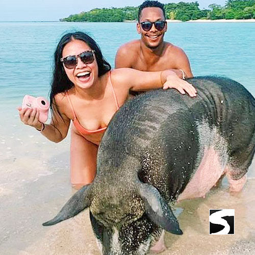 Pig Island Schweine Insel Schnorcheln Koh Mudsum Ausflüge