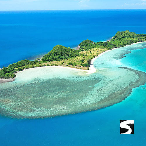 Pig Island Schweine Insel Schnorcheln Koh Mudsum Ausflüge