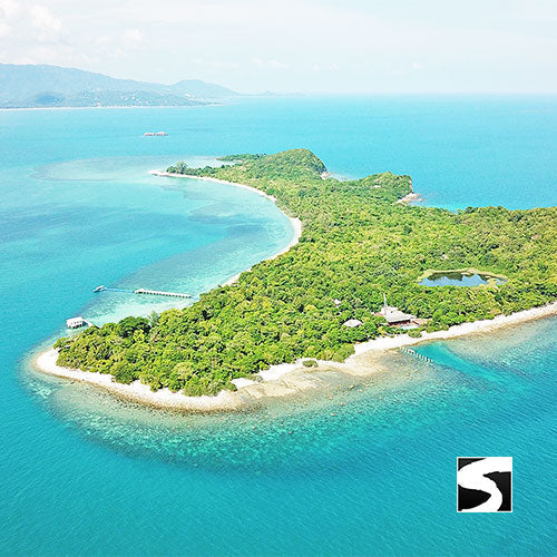 Pig Island Schweine Insel Schnorcheln Koh Mudsum Ausflüge