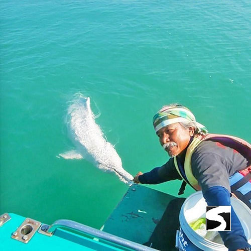 Ausflüge - Bootstour Khanom Sehenswürdigkeit Rosa Delfine - kohsamuiausflug.de