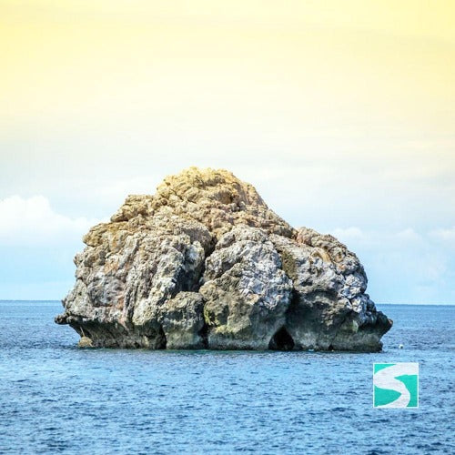 Aktivität - Tauchaktivität zum Sail Rock mit Walhai Sichtungen - kohsamuiausflug.de