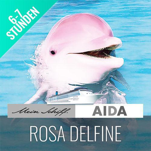 Ausflüge - Bootstour Khanom Sehenswürdigkeit Rosa Delfine - kohsamuiausflug.de