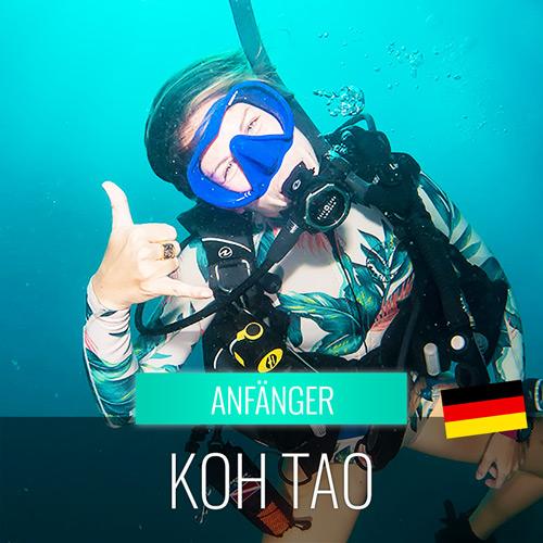 Aktivität - Aktivität Schnuppertauchen im offenen Meer bei Koh Tao - kohsamuiausflug.de