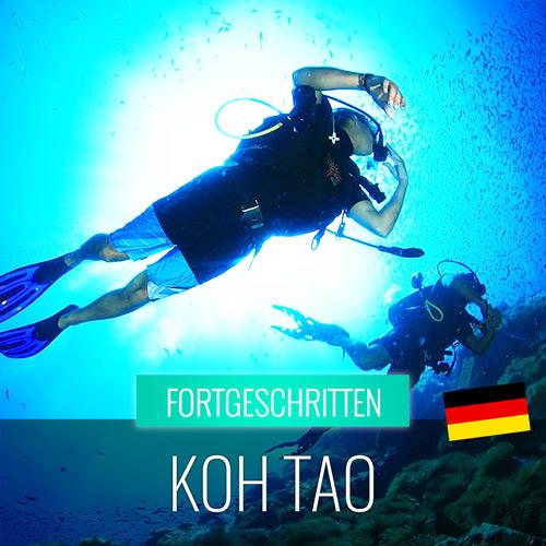 Ausflüge - Paradiesischer Tauchausflug Koh Tao Korallentauchen - kohsamuiausflug.de
