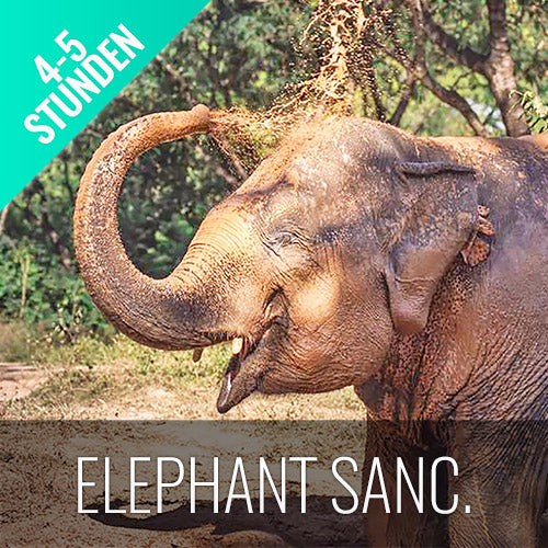 Sehenswürdigkeit Elephant Sanctuary Koh Samui - kohsamuiausflug.de