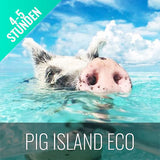 Pig Island Schweine Insel Schnorcheln Koh Mudsum Ausflüge