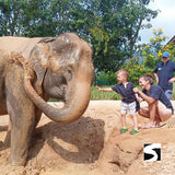 Elefantenschutz Halbtages Aktivität Koh Samui - kohsamuiausflug.de