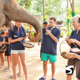 Elefanten Klinik Aktivität Koh Samui helfen beim Füttern