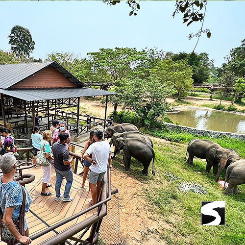 Elephant Kingdom Koh Samui - kohsamui.tours