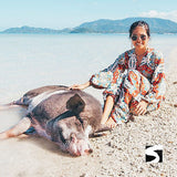 Pig Island Schweine Insel Koh Samui Ausflüge Kreuzfahrt
